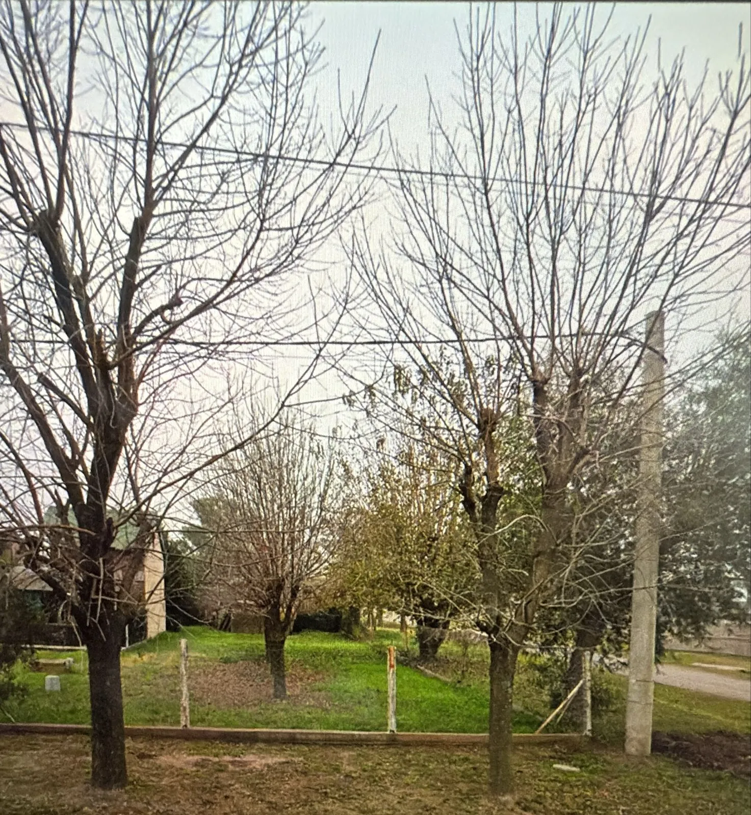 Terreno en Alvear